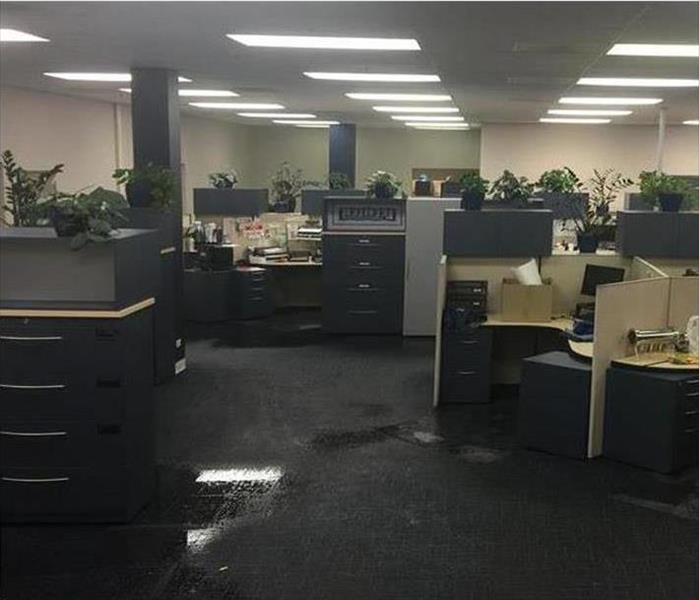 New Haven office with wet carpeting 