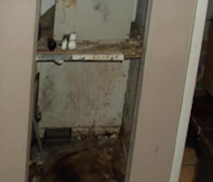 Mold damage in the HVAC utility closet