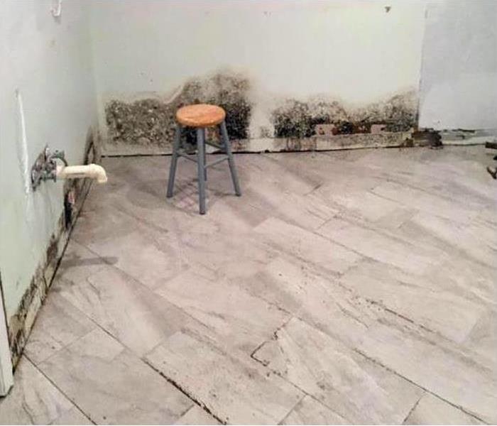 gutted kitchen with mold damage on the walls